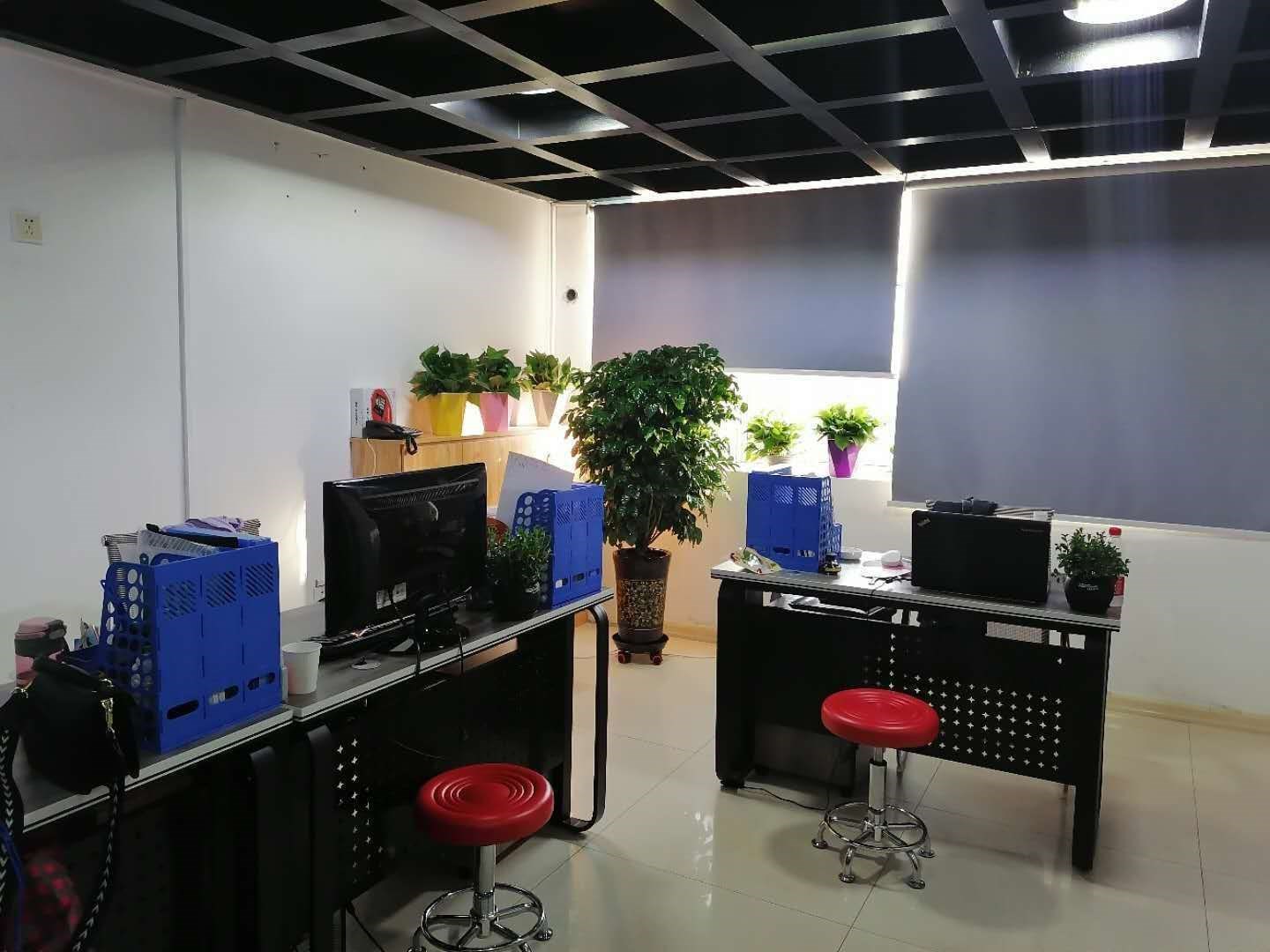 555555555555555.jpg